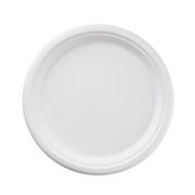 Bagasse 10 inch plate