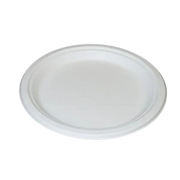 Bagasse 9 inch plate